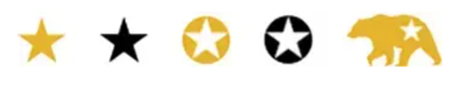 Star symbols on REAL IDs